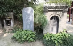 1742891436032.webp